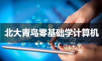 零基礎入門軟件開發(fā) 可能之路與學習指南