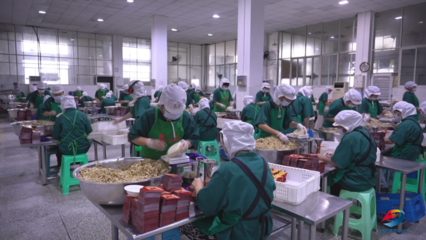 豐都發力食品加工產業，加速打造“豐都榨菜”新名片