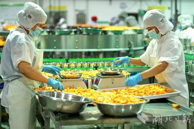 “農(nóng)企對(duì)接”穩(wěn)外貿(mào)促增收 食品銷售新引擎